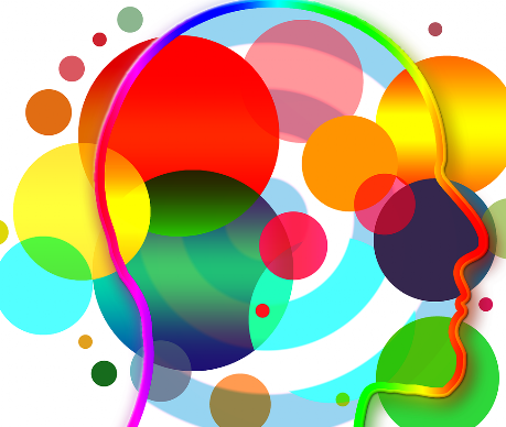 Senses Role of senses
